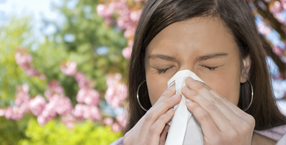 allergy screening south florida dr leslie shawn